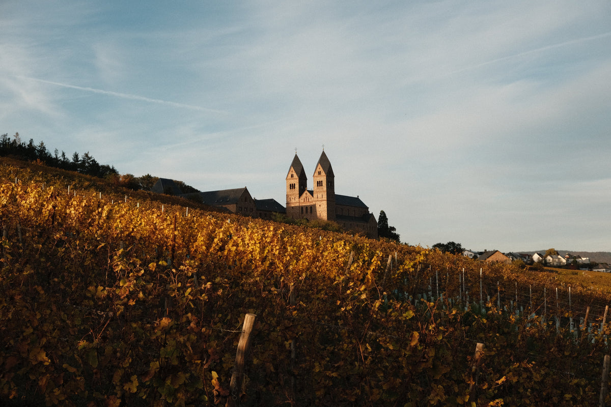 Was bedeutet „mineralisch“ im Wein?