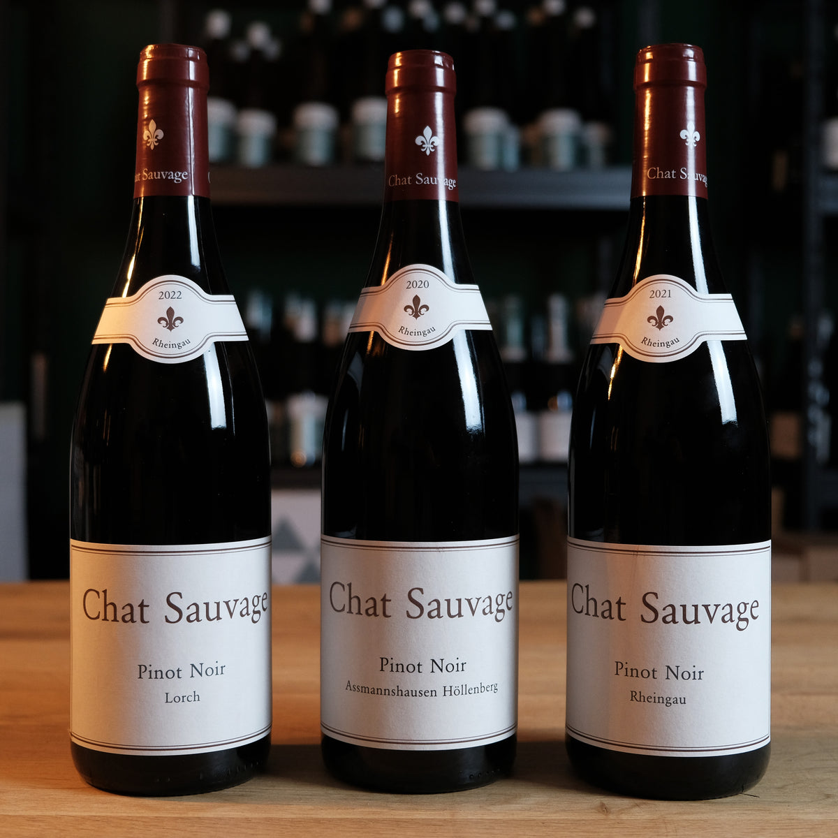 Chat Sauvage Pinot Noir Paket
