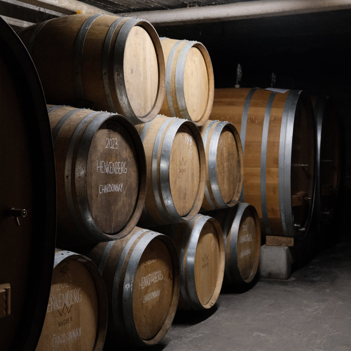Low Intervention Wein und Naturwein: Was steckt dahinter?
