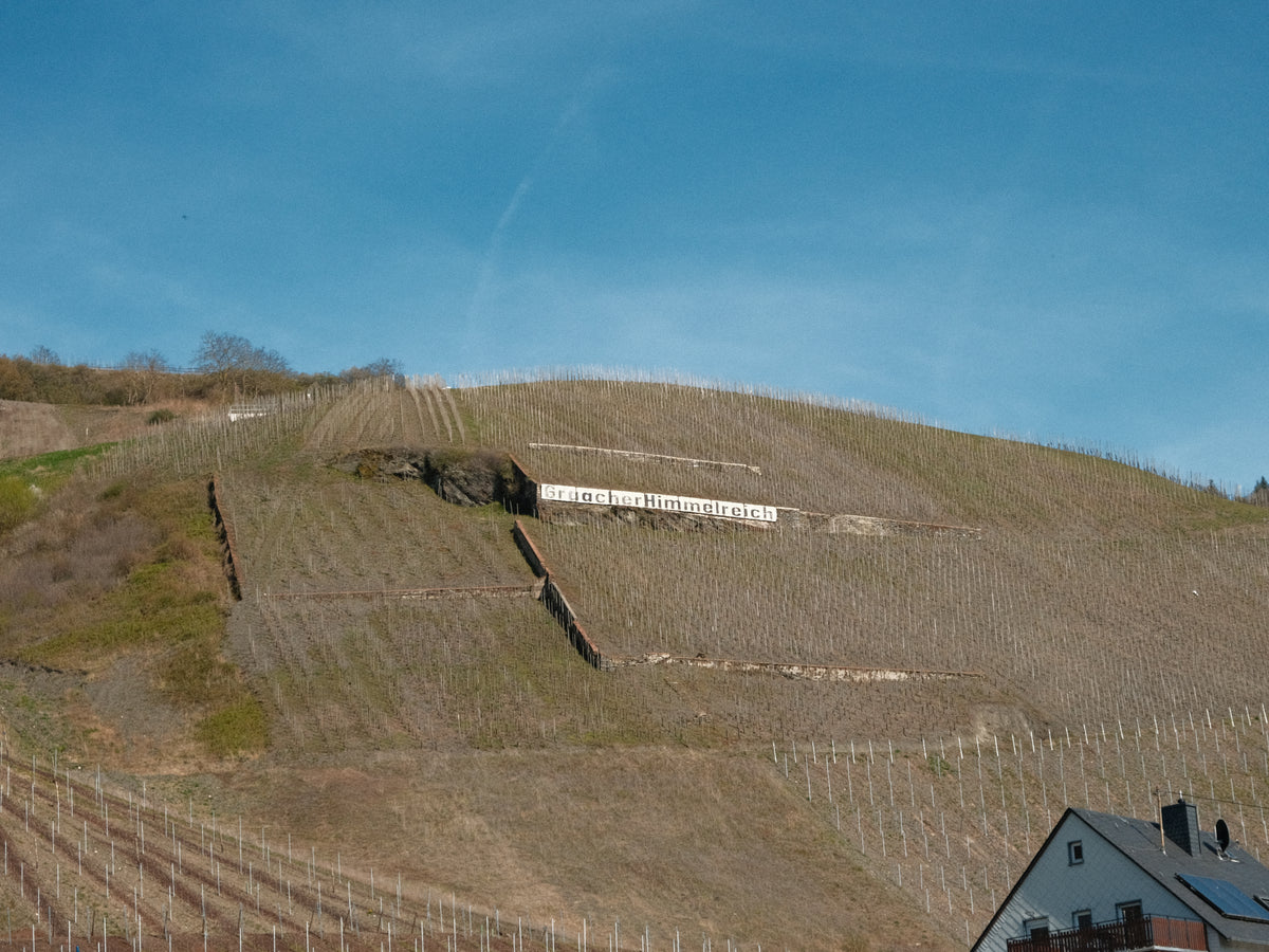 Die Mosel - Steillagen und Schieferboden