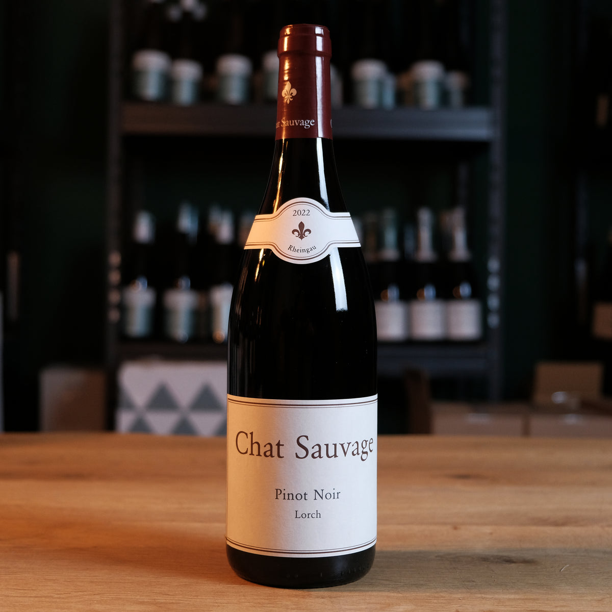 Chat Sauvage – Lorch Pinot Noir 2022 | Rheingau